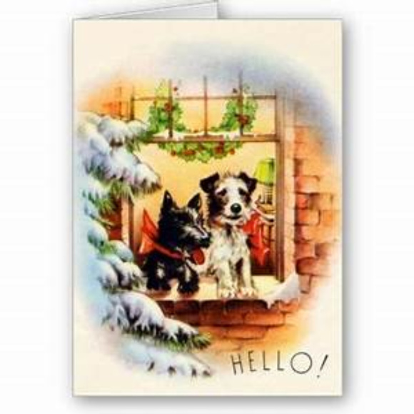 Meet your Posher, Angela - Picture 6 of 6